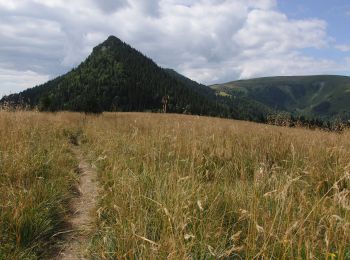 Tocht Te voet okres Ružomberok - Náučný chodník Čierny kameň - Photo