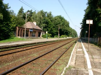 Excursión A pie  - Szlak Czerwony - Photo