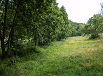 Tour Zu Fuß Eltville am Rhein - Rheinsteig-Zuweg Niederwalluf (West) - Photo