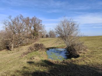 Trail Walking Périgneux - Boucle Marieux-Nus- La Roche- La Gare  - Photo