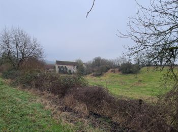 Tocht Stappen Saponay - Saponay du 11/01/2025 - Photo