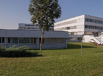 Tour Zu Fuß Gemeinde Hollabrunn - »tut gut«-Schritteweg - Photo