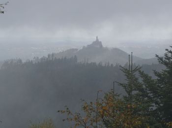 Tocht Stappen Wangenbourg-Engenthal - Obersteigen Rocher et Grottes - Photo