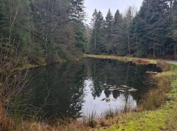 Randonnée Marche Saint-Benoît-la-Chipotte - Corbė - Photo