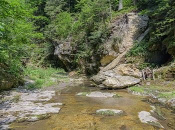 Trail On foot Weiz - Wanderweg 15 - Photo