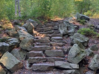 Tocht Stappen Spa - SPA 06 - Promenade Meyerbeer 🟩 - Photo