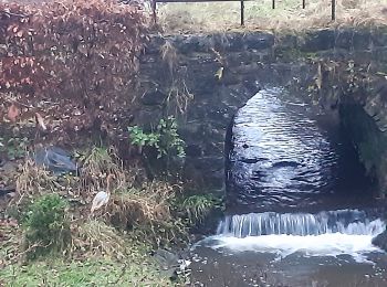 Tour Wandern Sprimont - lincé  . flagothier . betgné . haie des pauvres  .  wachibou . lincé  - Photo