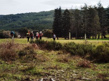 Tour Wandern Collobrières - collobriéres les menhirs de Lambert - Photo