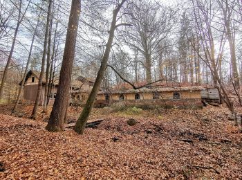 Randonnée A pied Wachau - Blauer Punkt 