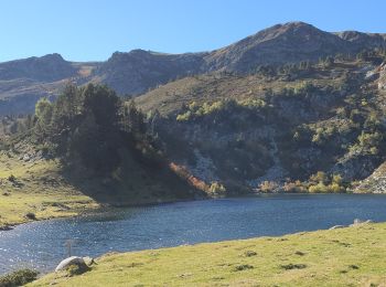 Trail Walking Mijanès - col de l'Egue par les etgs de Balbone et les Rebassoles (10.2021) - Photo