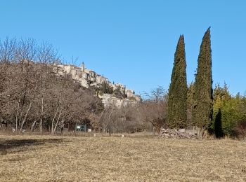 Randonnée Marche Dauphin - DAUPHIN La forêt de Pelissier o - Photo