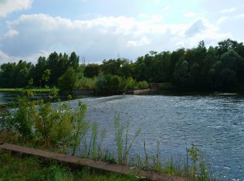 Tour Wandern Monthou-sur-Cher - Monthou-sur-Cher - Bourré Thésée GR41 - 15.9km 190m 3h55 (30mn) - 2021 08 31 - Photo