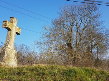 Trail Walking Labbeville - Labbeville Xalongugat par Meziere - Photo