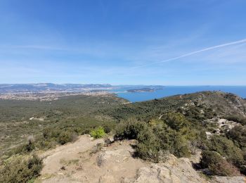 Trail Walking La Seyne-sur-Mer - Cap Sicié et Notre Dame du mai - Photo