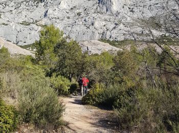 Tocht Stappen Saint-Antonin-sur-Bayon - pas du clapier et tracé vert - Photo