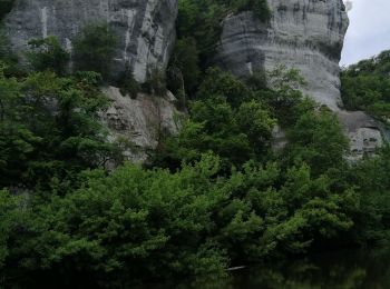 Randonnée Canoë - kayak Saint-Léon-sur-Vézère - st Léon, + les eyzies - Photo