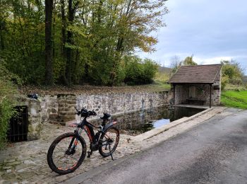 Trail Mountain bike Château-Thierry - Sortie du 8/11/2023 - Photo