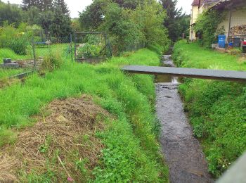 Excursión A pie Höchst im Odenwald - Rundwanderweg Mümling-Grumbach 2 : Hardt-Berg-Weg - Photo