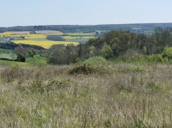Excursión Bicicleta híbrida Baron-sur-Odon - VTC_Vallées_de_l'Orne,_de_l'Ajon_et_de_l'Odon_45_km - Photo