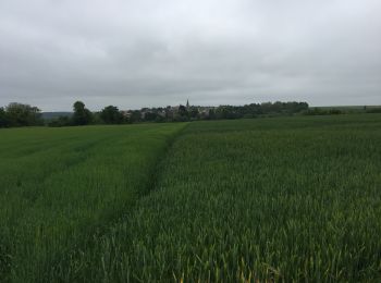 Percorso Marcia Mareil-sur-Mauldre - Mareil sur Mauldre à Neauphle le vieux - Photo