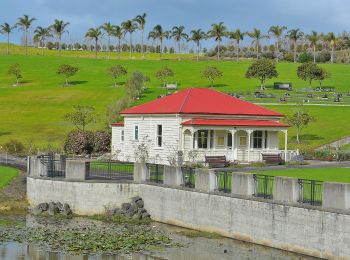 Trail On foot Hibiscus and Bays - Te Araroa alternative route - Photo