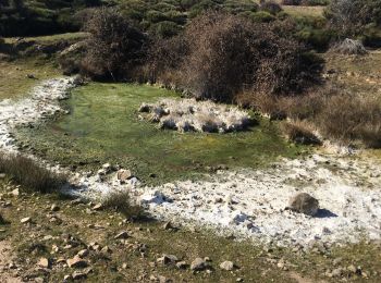 Tour Wandern Saint-Fortunat-sur-Eyrieux - St Fortunat - Photo