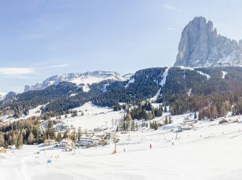 Tour Zu Fuß Wolkenstein - IT-528 - Photo