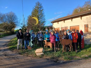 Randonnée Marche Ozenay - Beauffer  - Photo