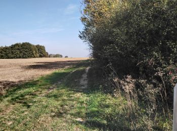 Tour Wandern Amboise - 0 Amboise - Photo