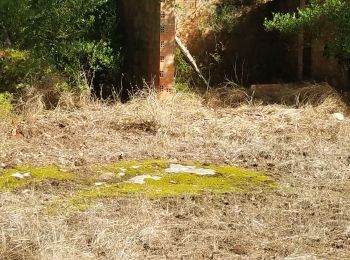 Tocht Stappen Vidauban - petite marche Aille Bérard - Photo