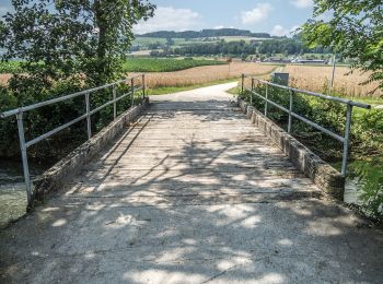 Tour Zu Fuß Moosleerau - Staffelbach - Suhrenthaler - Photo