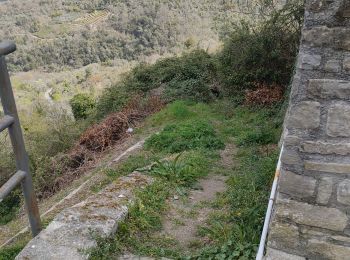 Trail Walking Perinaldo - apricale  - Photo