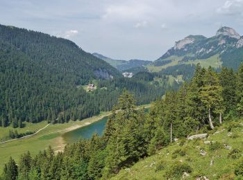 Percorso A piedi Rüte - Brülisau-Bollenwees - Photo