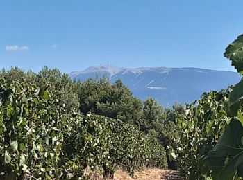 Randonnée Marche Puyméras - Puymeras : Pas de Maneyrole - Photo