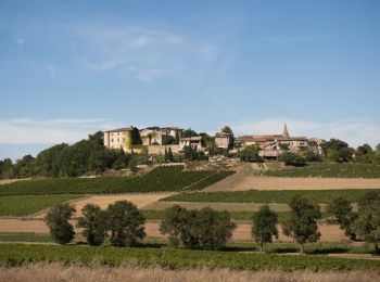 Tour Nordic Walking Senouillac - Sentier des 4 châteaux Senouillac - Photo