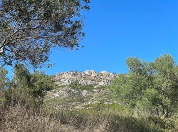 Tocht Stappen Torroella de Montgrí - Castel de mont gris variante - Photo