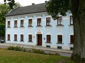 Percorso A piedi Sankt Veit im Mühlkreis - Kapellen-Wanderweg - Photo