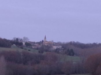 Tour Wandern Fayssac - Lincarque par les vignes - Photo