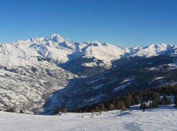 Percorso A piedi La Plagne-Tarentaise - Boucle du Carroley - Photo