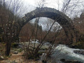 Tour Wandern Saint-Sylvestre - st Sylvestre/ pont Romain  - Photo