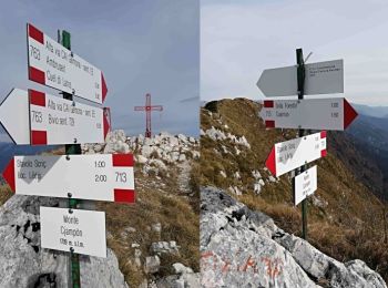 Trail On foot Gemona del Friuli - Alta Via C.A.I. Gemona - Photo