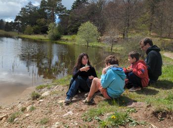 Trail Walking Bayons - Descente lac des Monges - Photo