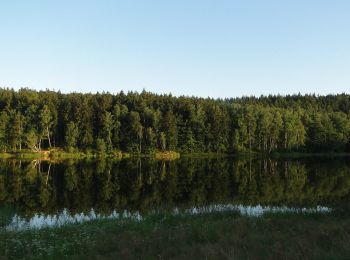 Randonnée A pied Wieża - szlak - Photo