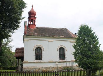 Excursión A pie Jílovice - [Ž] Jílovice - Jiříkovo údolí - Photo