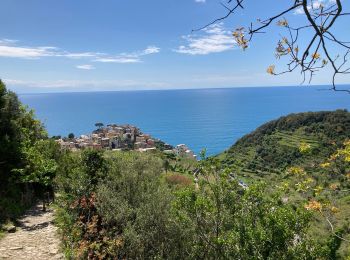 Percorso Marcia Riomaggiore - Manarola-Corniglia - Photo