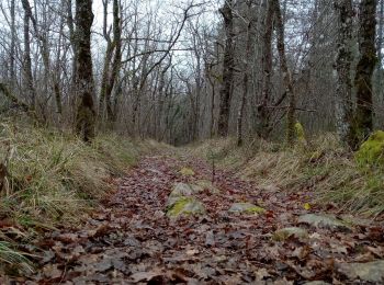 Randonnée Marche Molières - Molières 15,3km - Photo