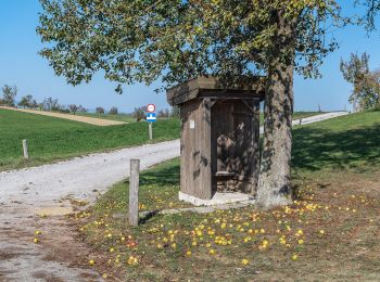 Tocht Te voet Pucking - Wanderweg Schnadt - Photo