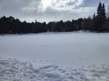 Excursión Raquetas de nieve Bolquère - Pyrénées 2000 - Photo