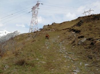 Excursión Senderismo Saint-Jean-de-Maurienne - longefan / l'echaillon / longefan - Photo