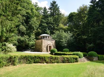 Percorso A piedi Marburg - [C1] - Rundwanderweg des Verkehrs- und Verschönerungsvereins Marburg - Photo